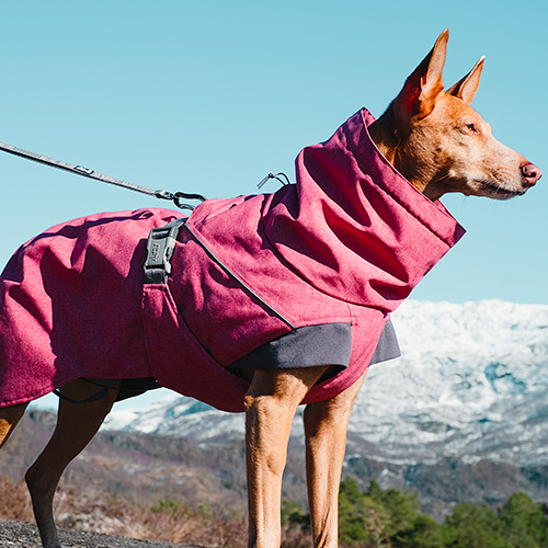 hurtta expedition insulated dog parka